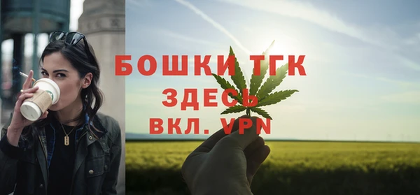дживик Володарск