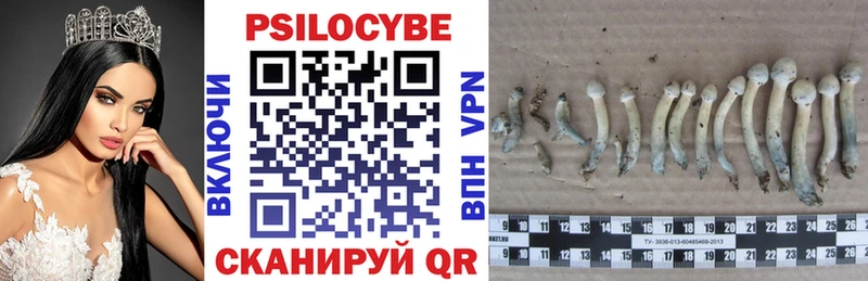 Галлюциногенные грибы Psilocybine cubensis  Купить где  Юрга 